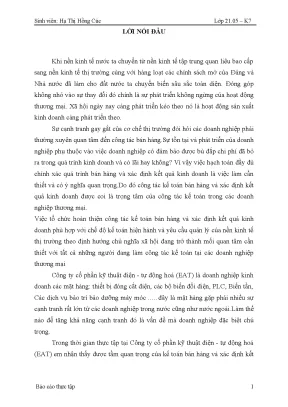 Nghiên cứu kết quả kinh doanh dịch vụ kế toán tại công
