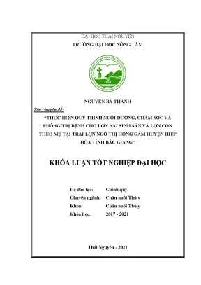 Quy trình chăm sóc lợn nái và lợn con tại trại Ngô Thị 