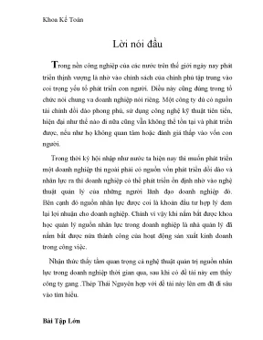 Mô Hình Tổ Chức và Phát Triển Công Ty Gang Thép Thái Nguyên