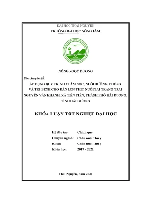 Quy trình chăm sóc và điều trị bệnh cho lợn thịt tại 