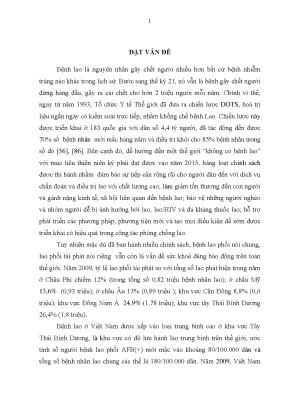 Đánh giá điều trị lao phổi tái phát tại Cần Thơ (2014-2017)