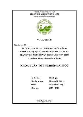 Chăm sóc và điều trị bệnh cho lợn thịt tại trại Nguyễn 