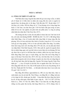 Kỹ thuật nhân giống và trồng rau đắng đất Glinus 