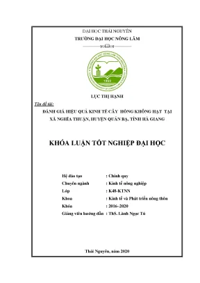 Đánh giá hiệu quả kinh tế cây hồng không hạt tại Hà Giang