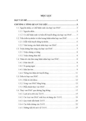 Kỹ thuật thay van động mạch chủ qua ống thông: Giải pháp 