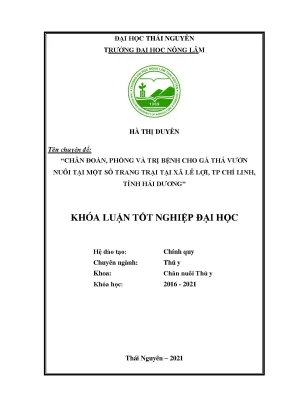 Chẩn đoán và điều trị bệnh cho gà thả vườn tại Hải Dương