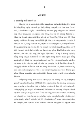 Nghiên cứu bọ xít bắt mồi và ứng dụng Coranus 