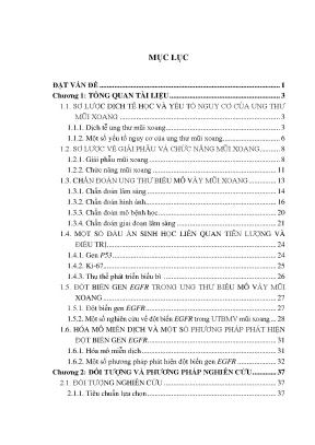 Nghiên cứu đặc điểm lâm sàng và đột biến gen EGFR ở bệnh 