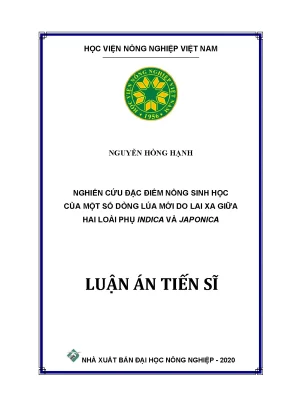 Nghiên cứu nông sinh học các dòng lúa lai giữa indica và 