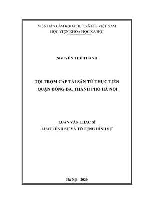 Nghiên cứu tội trộm cắp tài sản tại quận Đống Đa, Hà Nội