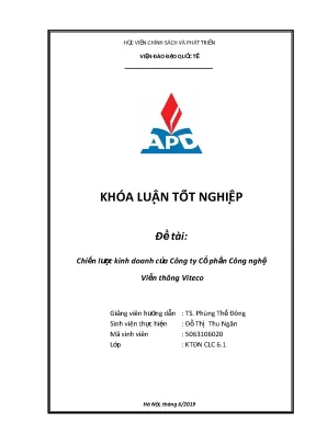 Chiến lược kinh doanh của Viteco: Luận văn tốt nghiệp