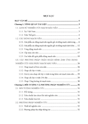 Nghiên cứu giải phẫu động mạch não qua CT 256 dãy