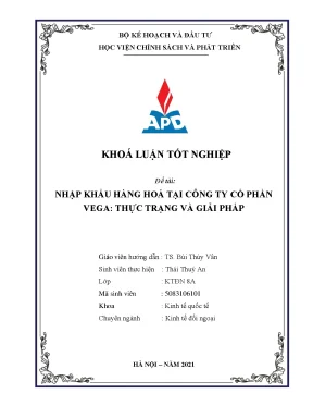 Giải pháp nhập khẩu hàng hóa tại công ty cổ phần Vega