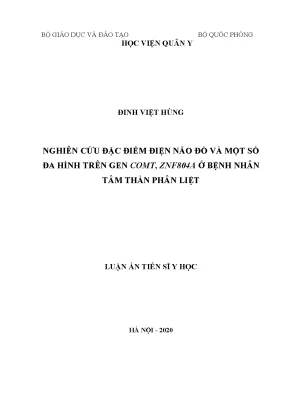 Nghiên cứu điện não đồ và đa hình gen comt, znf804a ở 