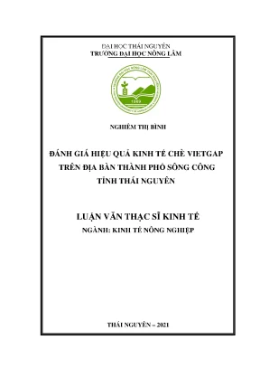Đánh giá hiệu quả kinh tế chè VietGAP tại Sông Công, 
