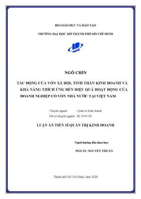Luận án tiến sĩ tác động của vốn xã hội tinh thần kinh doanh và khả năng thích ứng đến hiệu quả hoạt động của doanh nghiệp có vốn nhà nước dncvnn tại việt nam
