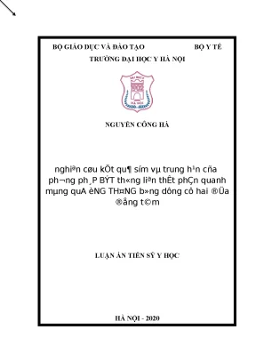 Nghiên cứu kết quả phương pháp bít thông liên thất qua 