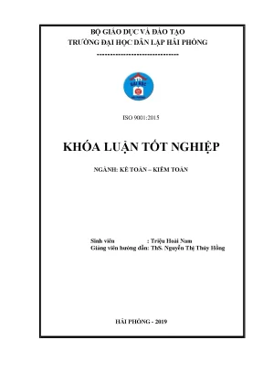 Cải thiện công tác kế toán hàng hóa tại Công ty TNHH Đầu 