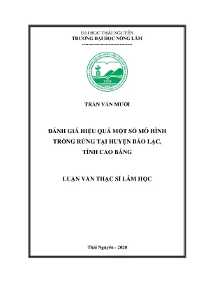 Đánh giá hiệu quả mô hình trồng rừng tại Bảo Lạc, Cao Bằng