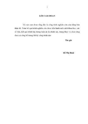 Giải pháp nâng cao độ chính xác bình đồ ảnh từ vệ tinh 