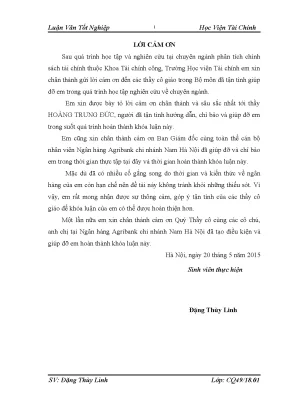 Phân Tích Tình Hình Tài Chính Ngân Hàng Nông Nghiệp Chi 