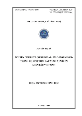 Nghiên cứu rươi Nereididae Tylorrhynchus trong hệ sinh 