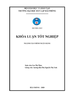 Phân Tích Tình Hình Tài Chính Công Ty TNHH Xuất Nhập 