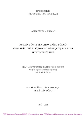 Nghiên cứu giống lúa năng suất cao tại Thừa Thiên Huế