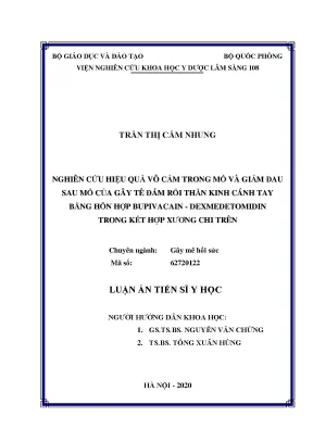 Nghiên cứu hiệu quả của gây tê đám rối thần kinh cánh 