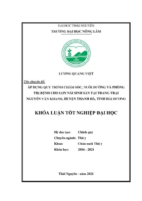 Quy trình chăm sóc và phòng trị bệnh cho lợn nái tại 