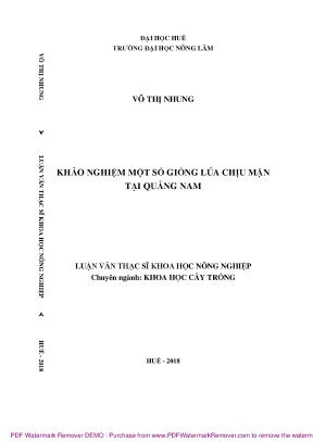 Khảo nghiệm giống lúa chịu mặn tại Quảng Nam