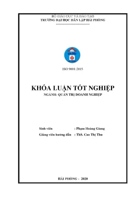 Giải pháp marketing mở rộng thị trường cho công ty TNHH 