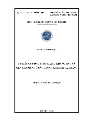 Nghiên cứu kháng sinh và gen ở chủng Salmonella đa kháng