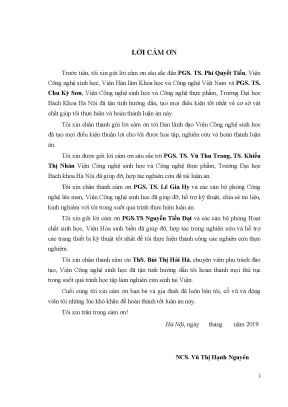 Khả năng sinh kháng sinh của xạ khuẩn trên cây quế