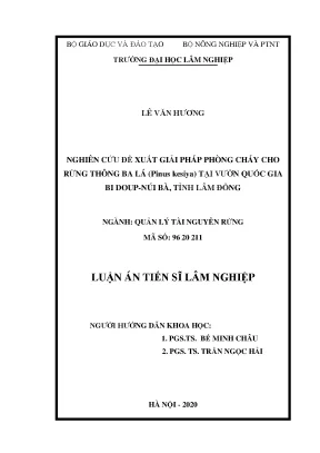 Giải pháp phòng cháy cho rừng thông ba lá Pinus kesiya 