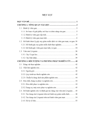 Tác dụng của viên nén Livganic trong kích thích miễn 