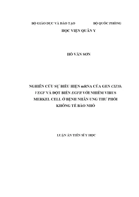 Nghiên cứu mRNA gen CIZ1B, VEGF và đột biến EGFR trong 