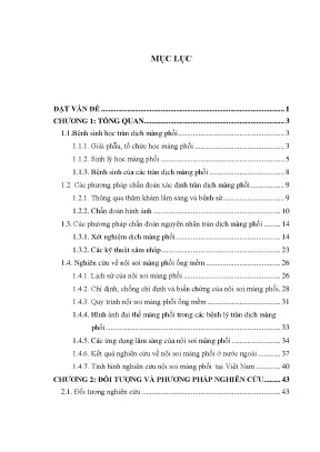 Nội soi màng phổi ống mềm: Giải pháp chẩn đoán tràn dịch 