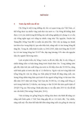 Ảnh hưởng của biện pháp kỹ thuật đến sinh lý và nông 