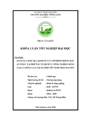 Đánh giá hiệu quả kinh tế mô hình trồng rau an toàn tại 