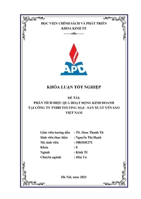 Phân Tích Hiệu Quả Kinh Doanh Tại Công Ty TNHH Thương