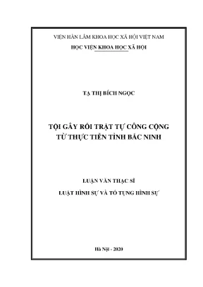 Nghiên cứu tội gây rối trật tự công cộng tại Bắc Ninh