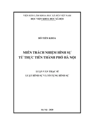 Miễn Trách Nhiệm Hình Sự: Thực Tiễn Tại Hà Nội