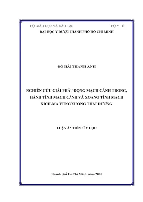 Nghiên cứu giải phẫu động mạch cảnh và tĩnh mạch xích ma 