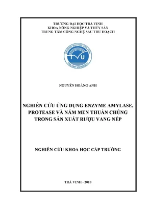 Nghiên cứu ứng dụng enzyme amylase, protease và nấm men 