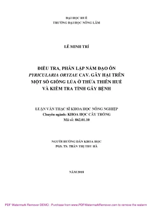 Nghiên cứu nấm đạo ôn Pyricularia oryzae gây hại trên 