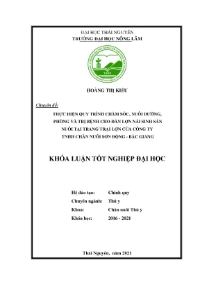 Chăm sóc và điều trị bệnh cho lợn nái sinh sản tại trang 