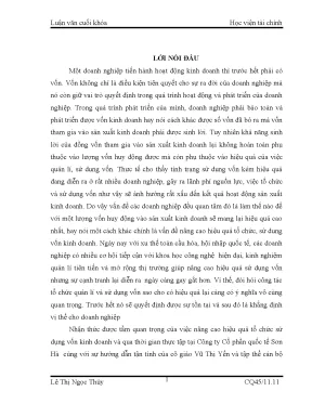 Luận văn tốt nghiệp các giải pháp tài chính chủ yếu nâng cao hiệu quả tổ chức sử dụng vốn kinh doanh tại công ty cổ phần quốc tế sơn hà