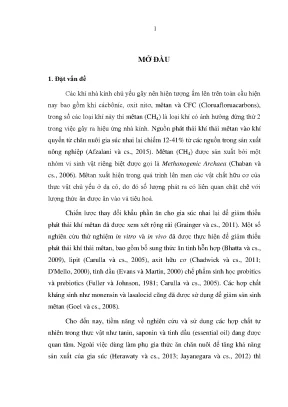 Giảm phát thải khí mêtan trong chăn nuôi bò thịt bằng 