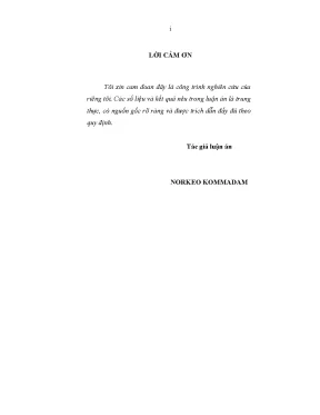 Đầu tư nước ngoài tại Lào: Thực hiện pháp luật hiện nay